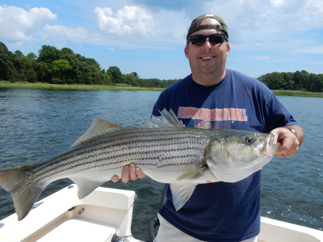 Live bait produces big striper on the Merrimack 